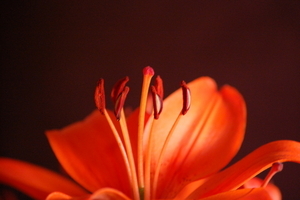 Uber Exif Photo