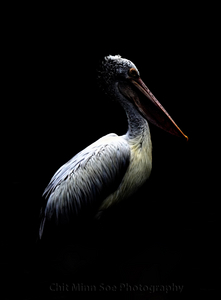 Uber Exif Photo
