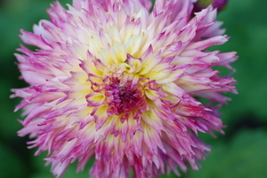 Uber Exif Photo