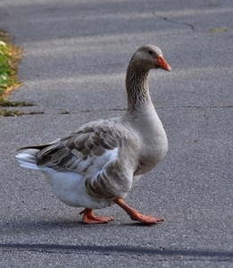 Uber Exif Photo
