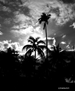 Uber Exif Photo