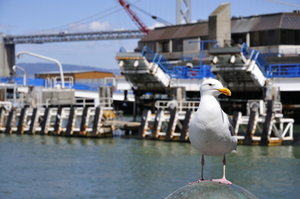 Uber Exif Photo