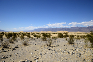 Uber Exif Photo