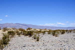 Uber Exif Photo