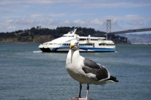 Uber Exif Photo