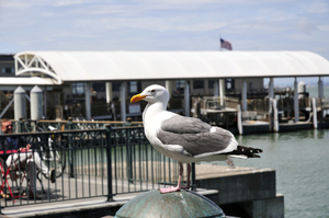 Uber Exif Photo