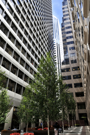 Uber Exif Photo