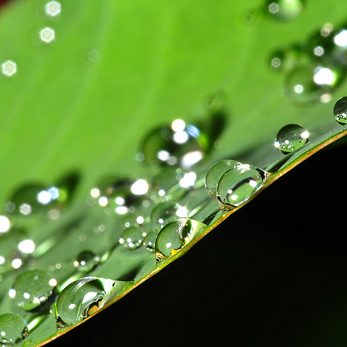 Photo: 107661
