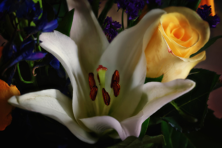 May flower