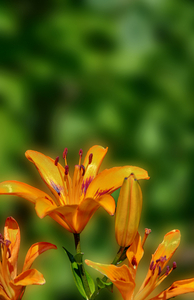 Uber Exif Photo