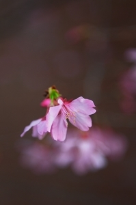 Uber Exif Photo
