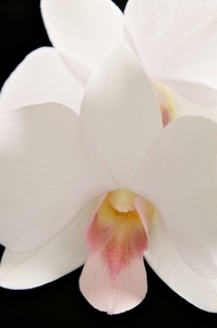 Uber Exif Photo