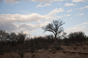 Uber Exif Photo