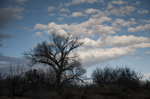 Uber Exif Photo
