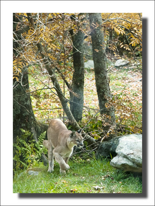 Uber Exif Photo