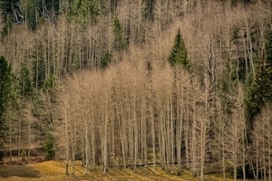 Uber Exif Photo
