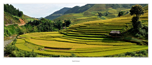 Uber Exif Photo