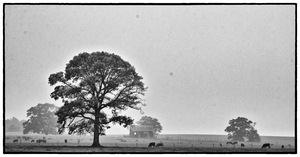 Uber Exif Photo