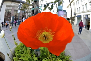 Uber Exif Photo