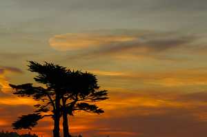 Uber Exif Photo