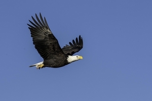 Uber Exif Photo