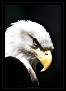 Uber Exif Photo