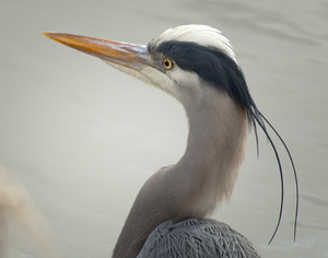 Uber Exif Photo