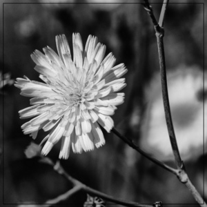 Uber Exif Photo