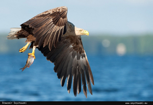 Uber Exif Photo