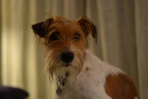 Uber Exif Photo