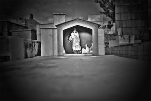 Uber Exif Photo