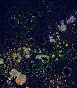 Uber Exif Photo