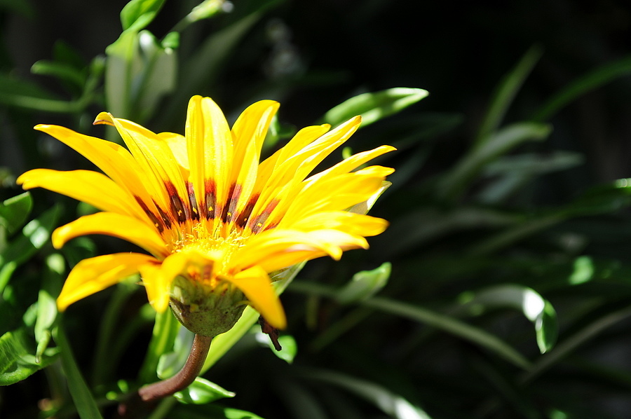 Photo: 112078