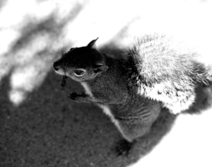 Uber Exif Photo