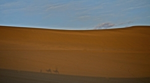 Uber Exif Photo
