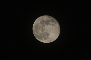 Uber Exif Photo