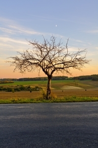 Uber Exif Photo