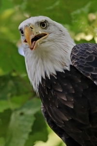 Uber Exif Photo