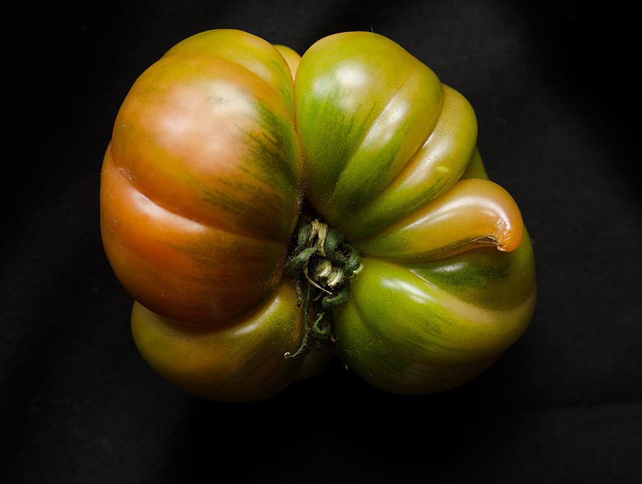 Tomatoe