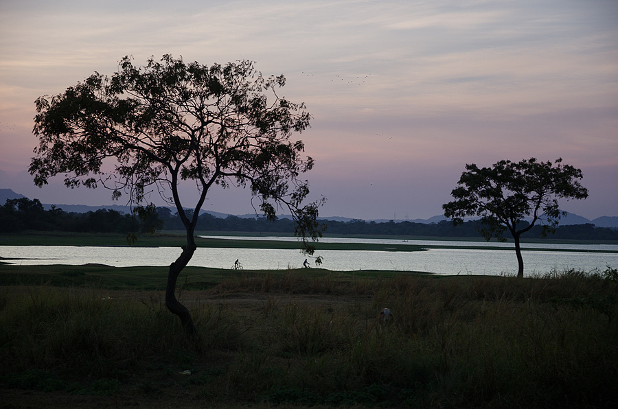 My last Photo for Nikonimages