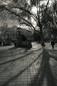 Uber Exif Photo