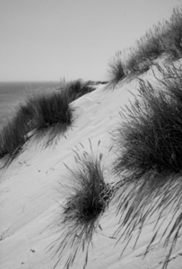 Uber Exif Photo