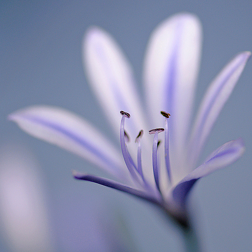 Out of the Blue