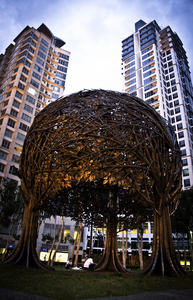Uber Exif Photo