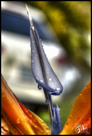 Uber Exif Photo