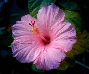 Uber Exif Photo