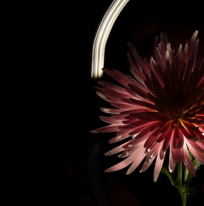 Uber Exif Photo
