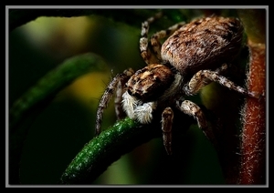 Uber Exif Photo