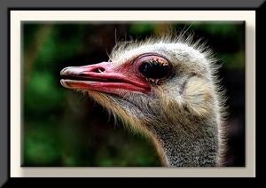 Uber Exif Photo