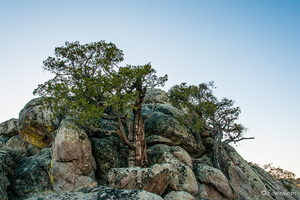 Uber Exif Photo
